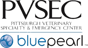 Pvsec doctors best sale